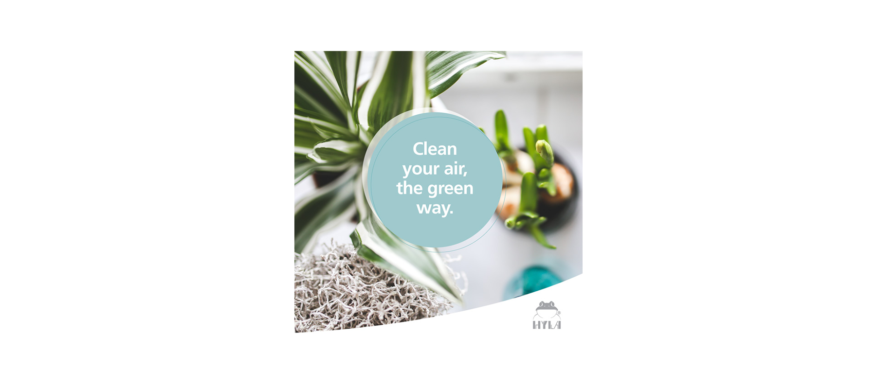 Clean your air, the green way!