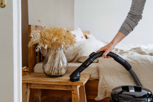 CLOTHES BRUSH  - NST