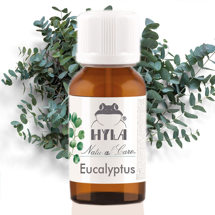EUCALYPTUS