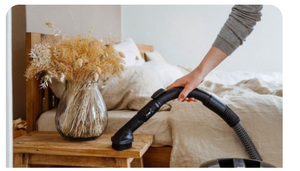 FURNITURE BRUSH NATURAL HORSEHAIR - EST